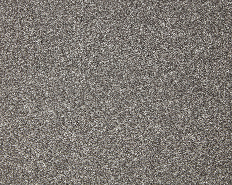 Primo Grande Carpet