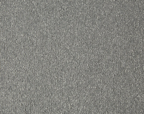 Sensation Carpet