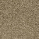 Sirius Carpet
