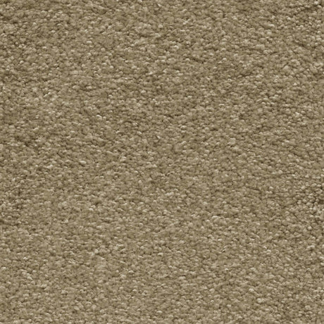 Sirius Carpet