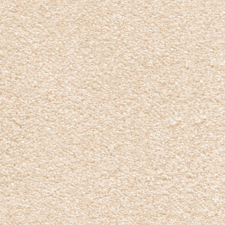 Sirius Carpet