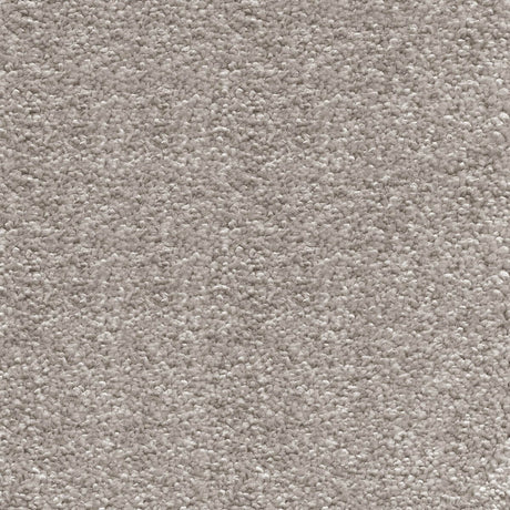Sirius Carpet