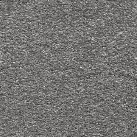 Sirius Carpet