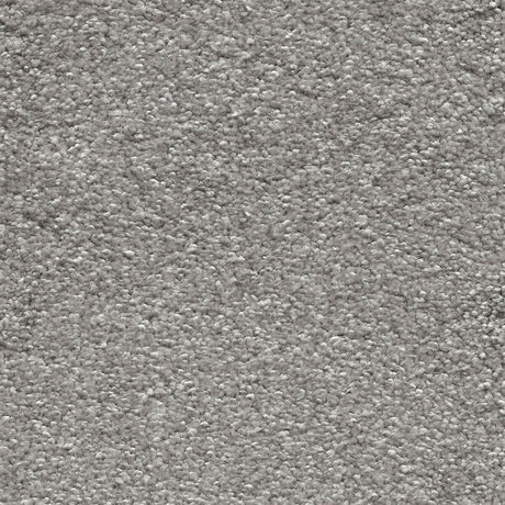 Sirius Carpet