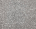 Apollo Elite Carpet
