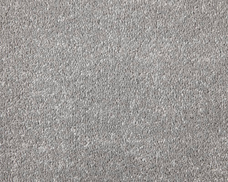 Apollo Elite Carpet