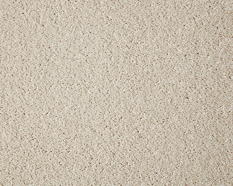 Primo Grande Carpet