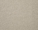 Apollo Elite Carpet