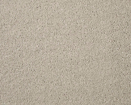 Apollo Elite Carpet