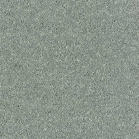 Sophisticat Carpet