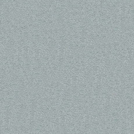 Splendour Carpet