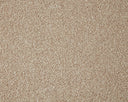 Primo Grande Carpet