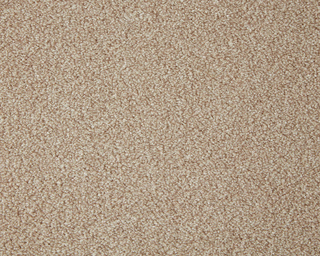Primo Grande Carpet