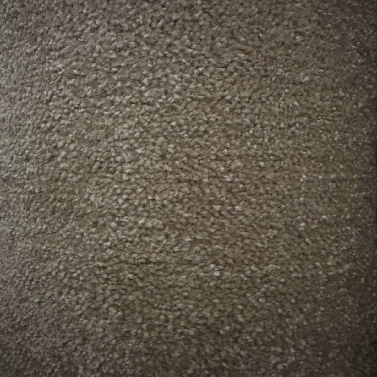 Summer 253 Dessert (4.60m x 4.00m) M016700