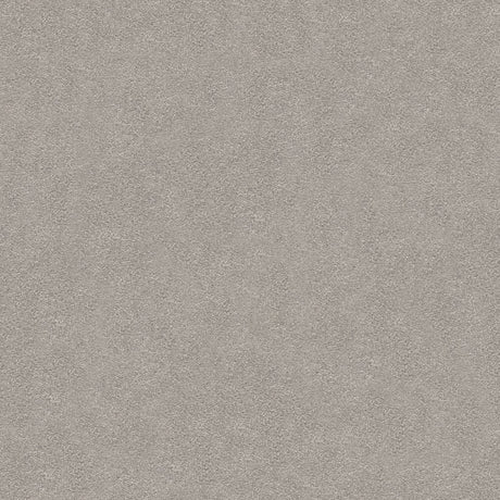 Suspense Carpet
