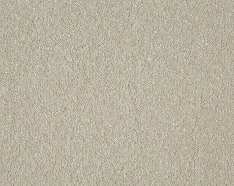 Sensation Carpet