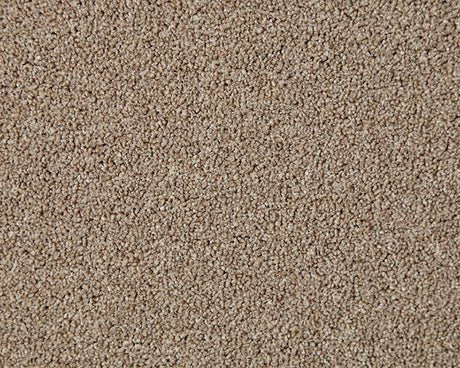 Primo Naturals Carpet