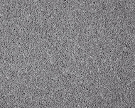 Primo Grande Carpet