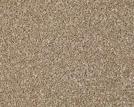 Primo Naturals Carpet