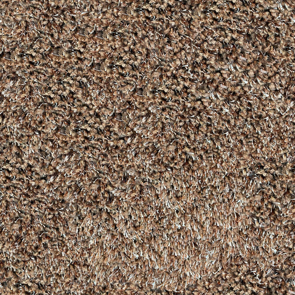Regal Carpet