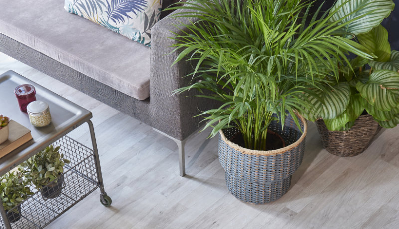 Types of LVT