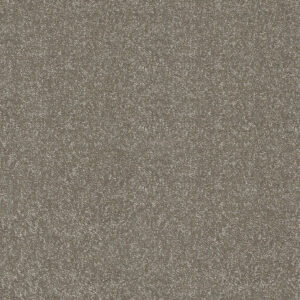 Stainfree Twist Carpet