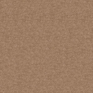 Obsession Carpet