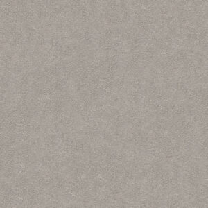 Suspense Carpet