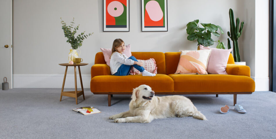 Perfect comfy carpet