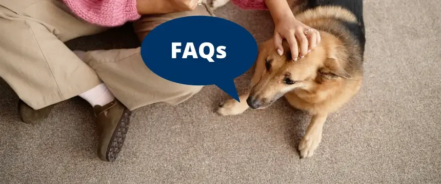 Carpet FAQs