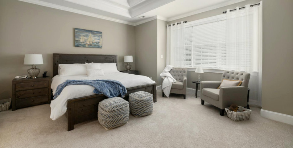 Living Room Carpet and Flooring