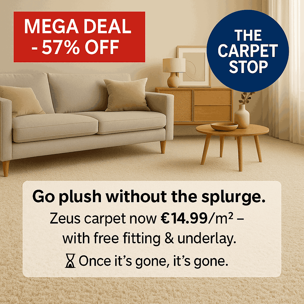 Zeus deep pile carpet in an elegant living room