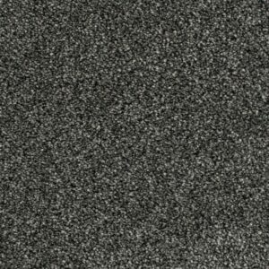 Cassius Saxony Carpet