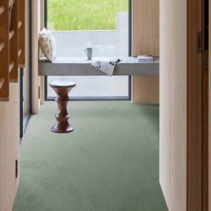 Indus Carpet
