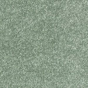 Sophisticat Carpet
