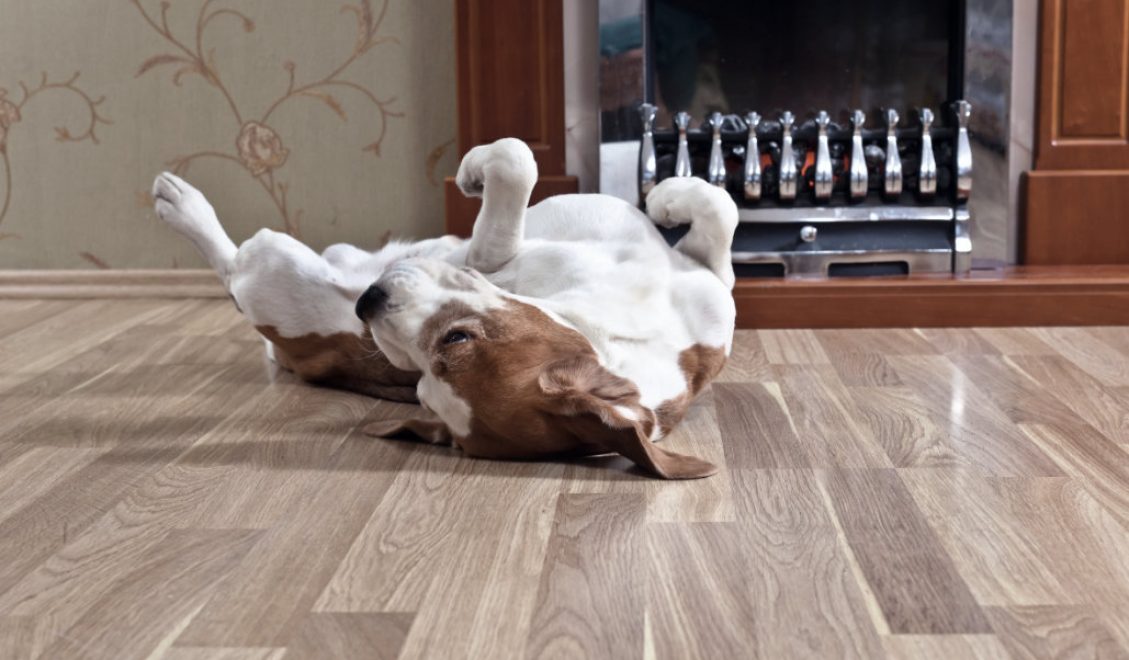 Flooring Trends